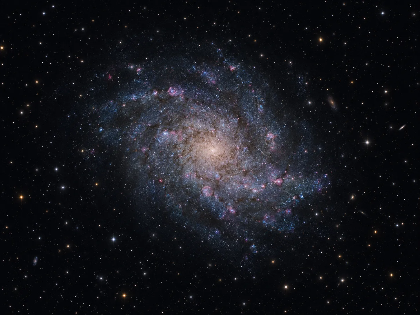 Redaktionelle KI-Illustration der Dreiecksgalaxie M33 mit locker gewundenen Spiralarmen und Sternentstehungsgebieten.
